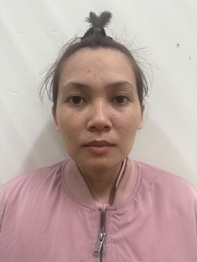 Dung Facebook ao,  Nhap vai Viet kieu anh 1