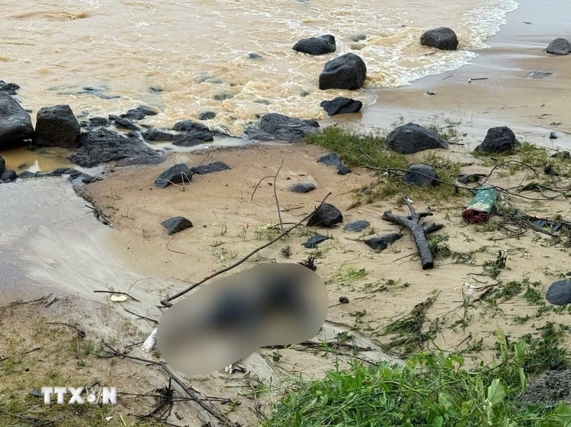 Phat hien thi the nam gioi troi dat vao bo bien Quang Ngai hinh anh