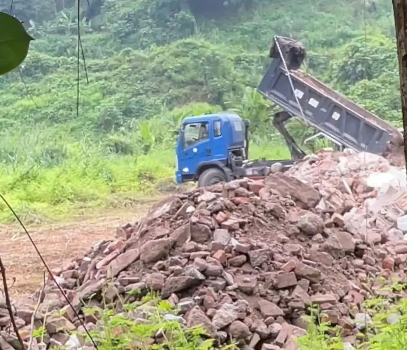 Tran Xuan Nguyen anh 3