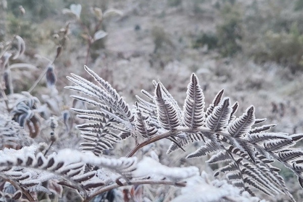 Dem 25 va ngay 26/12: Vung nui cao Bac Bo co bang gia va suong muoi hinh anh