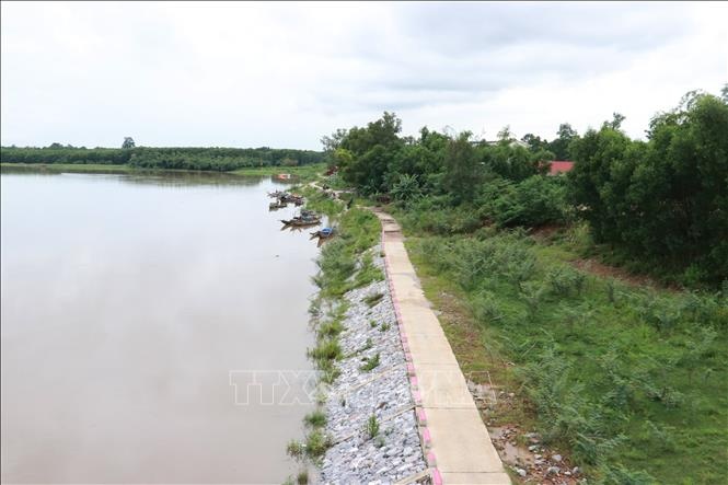 Phat hien thi the 2 be gai ben bo song o Can Giuoc hinh anh