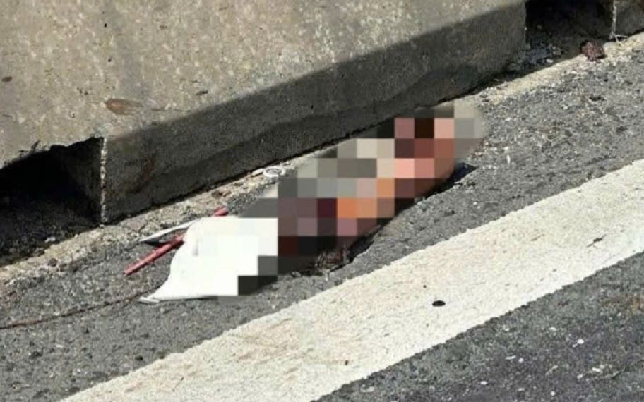 Phat hien mot canh tay nguoi tren cao toc Vinh Hao - Phan Thiet hinh anh