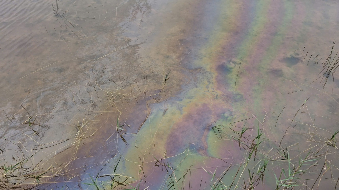 Tran dau diesel, ca chet hang loat o Quang Ngai hinh anh