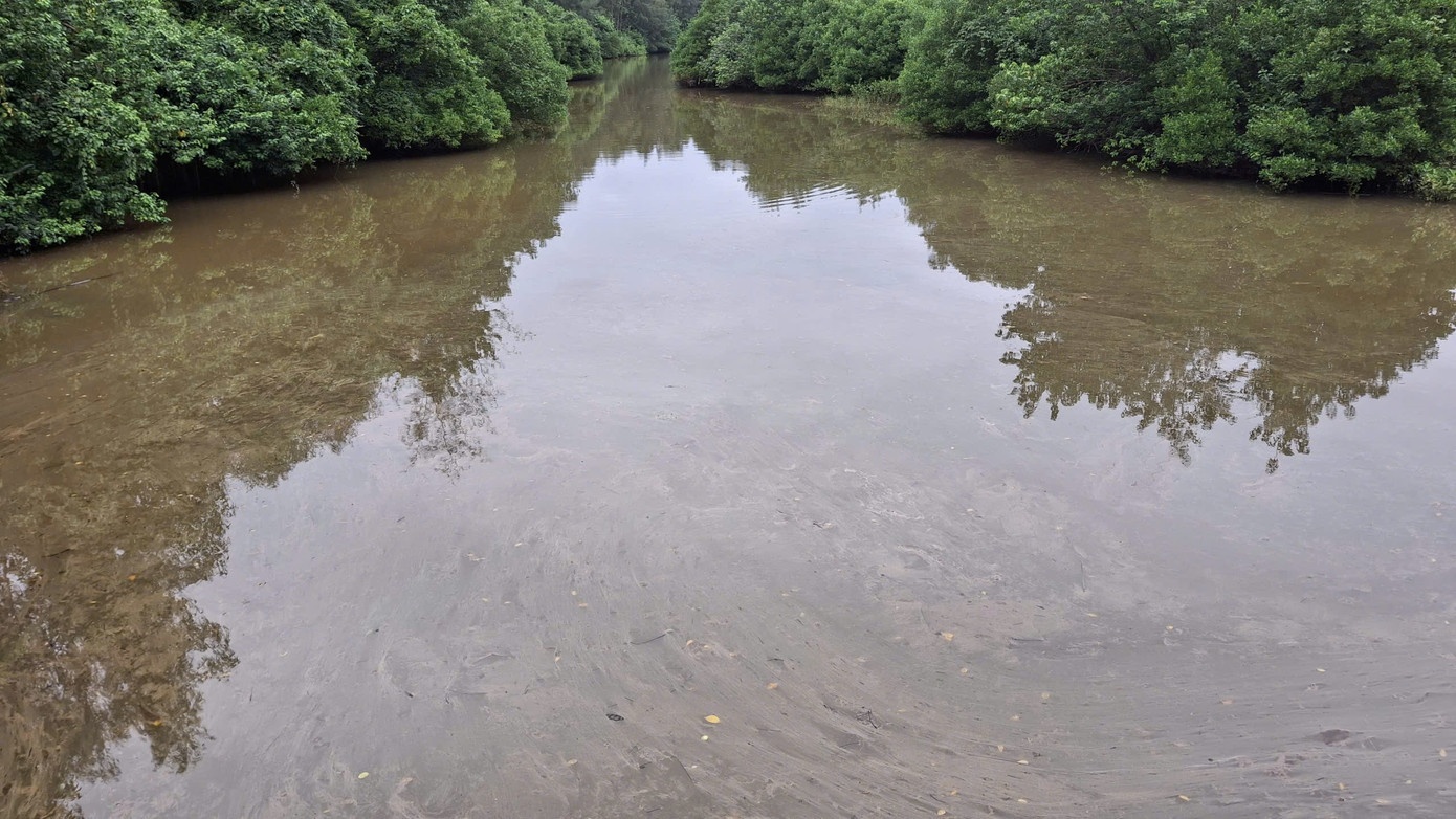 Tran dau diesel Quang Ngai anh 3