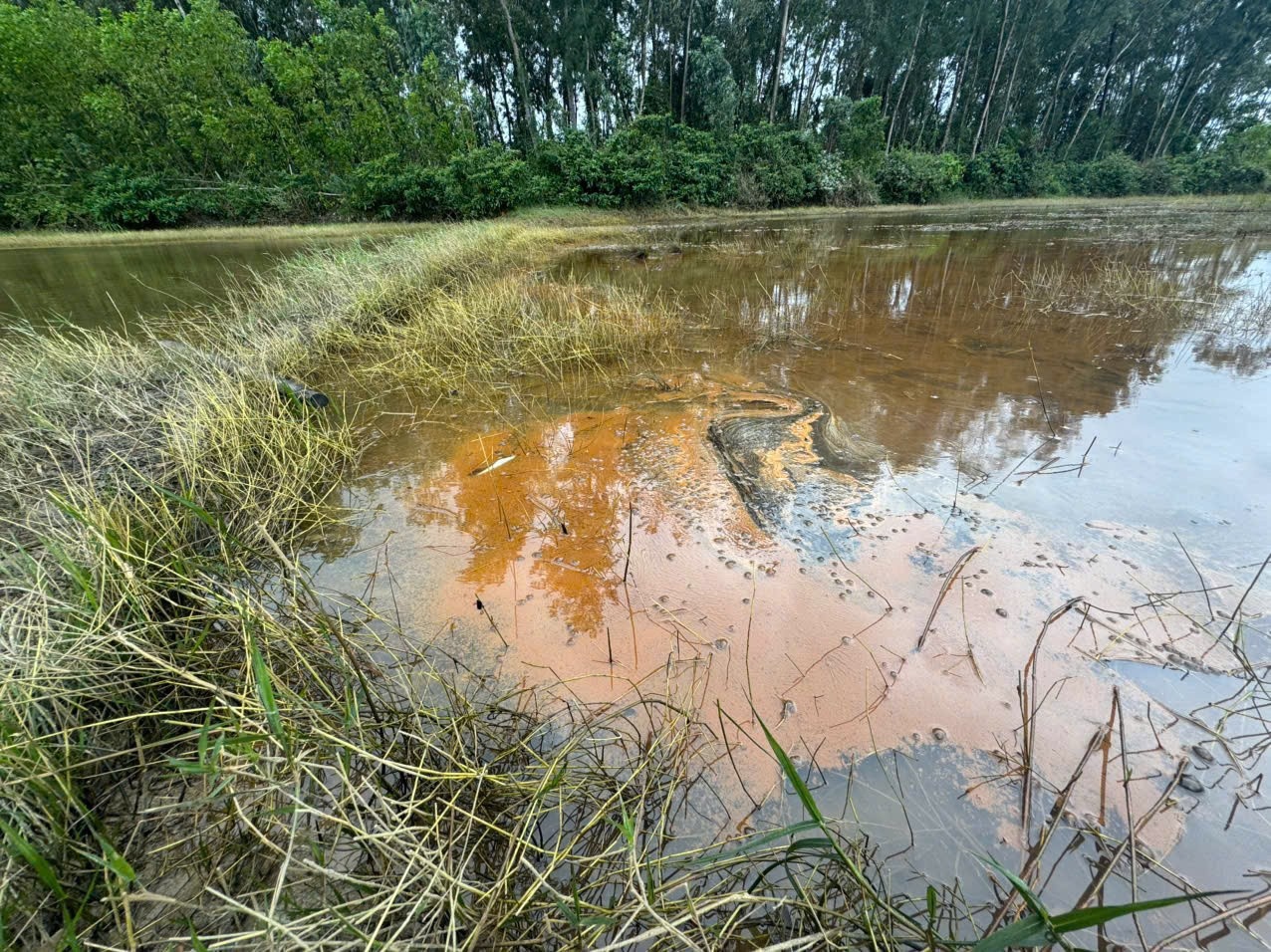 Tran dau diesel Quang Ngai anh 4