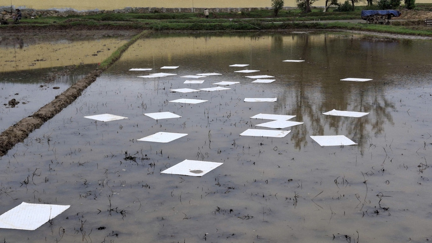 Tran dau diesel Quang Ngai anh 5