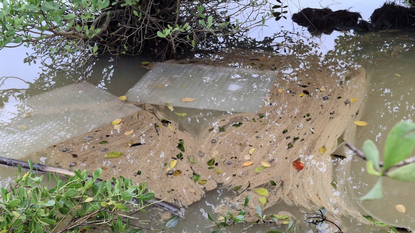 Tran dau diesel Quang Ngai anh 6