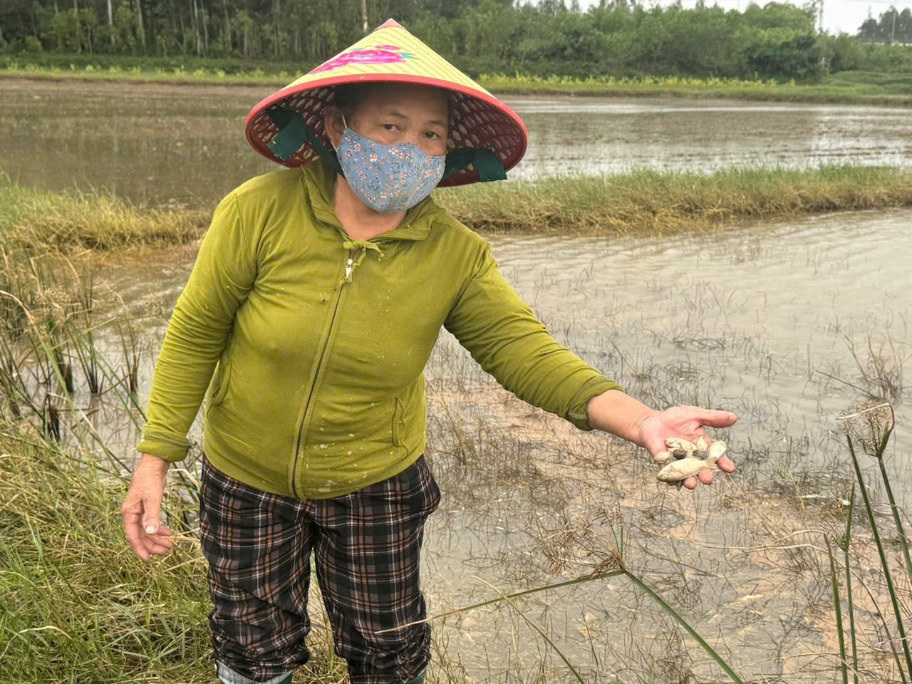 Tran dau diesel Quang Ngai anh 8