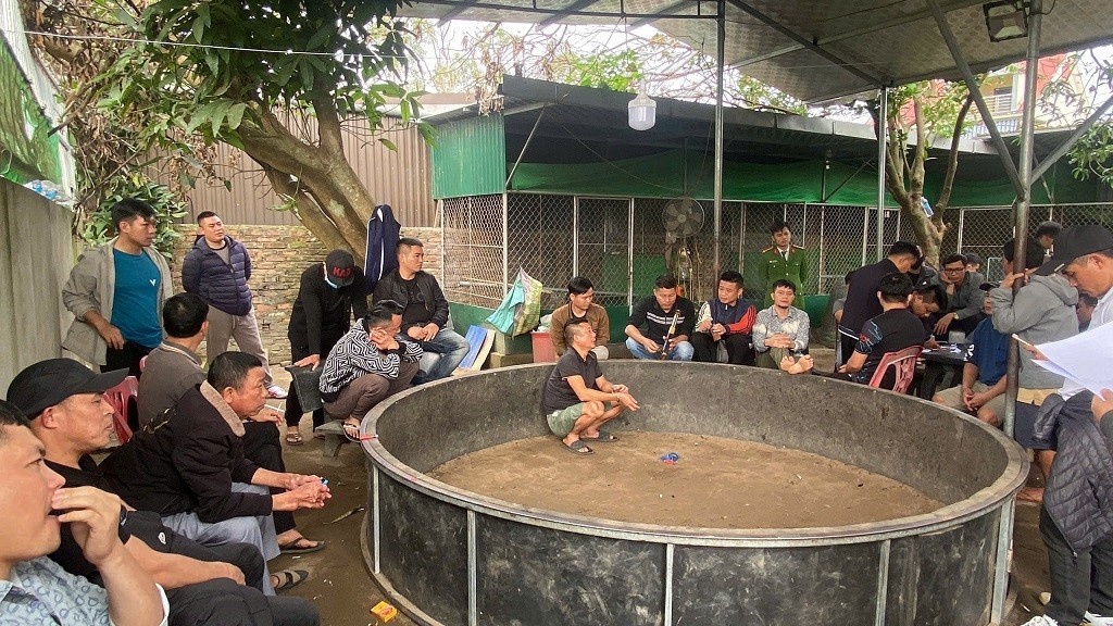 Dot kich soi ga anh 1