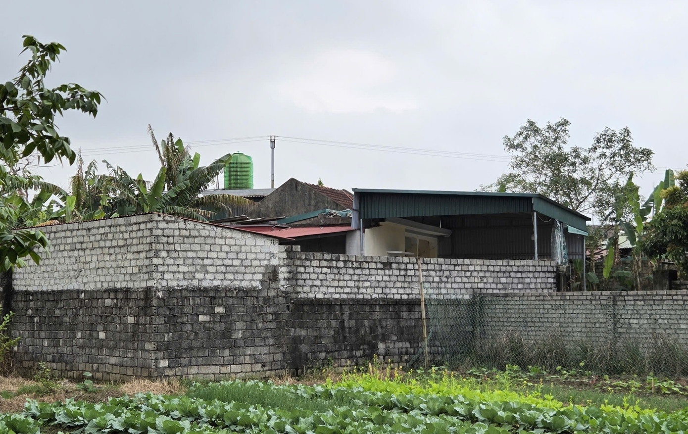 Nguyen nhan vu an mang khien 3 nguoi tu vong hinh anh