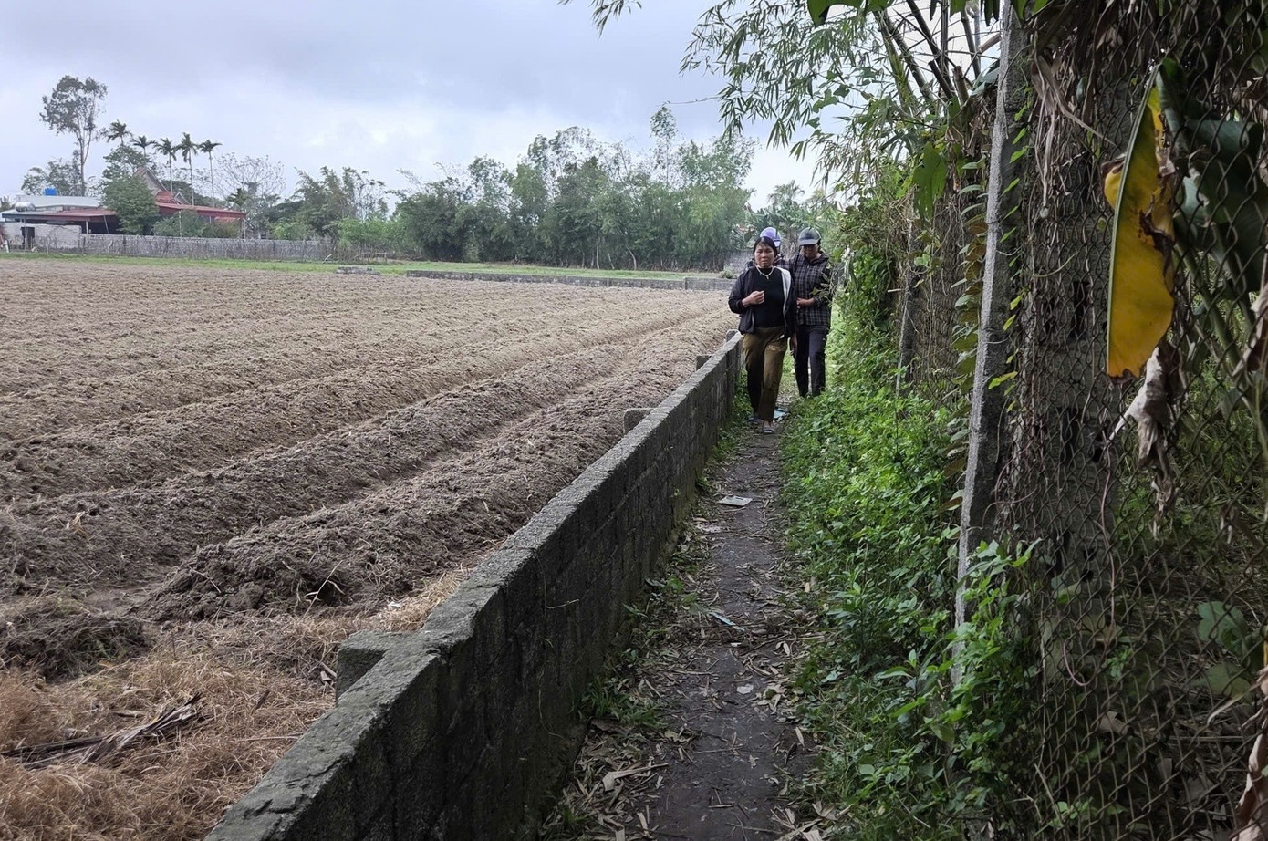 An mang Thanh Hoa anh 2