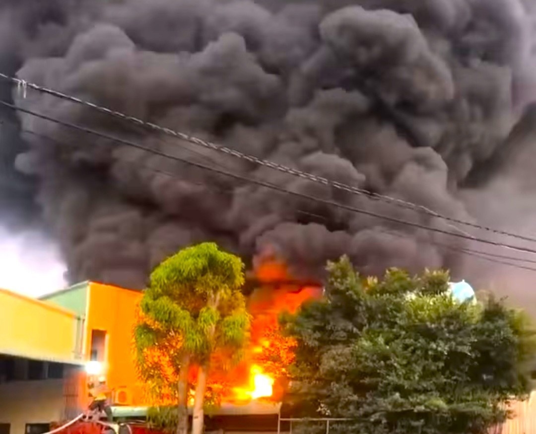 Chay My Phuoc Tan Van anh 1