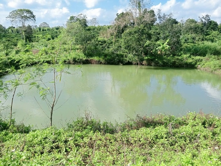 Ba tre nho chet duoi thuong tam tai ho tuoi ca phe o Dak Lak hinh anh