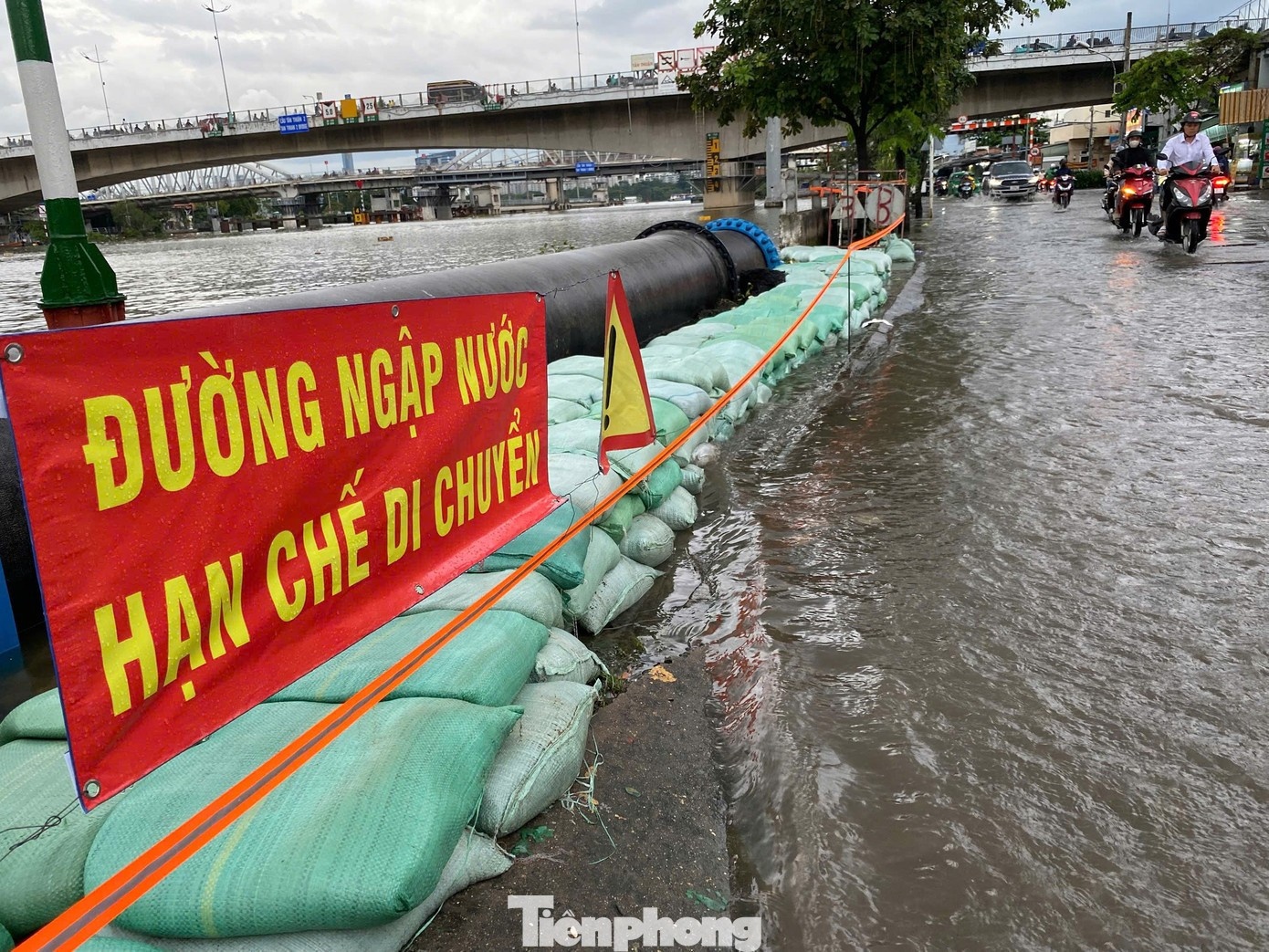 Trieu cuong TP.HCM dat dinh anh 1