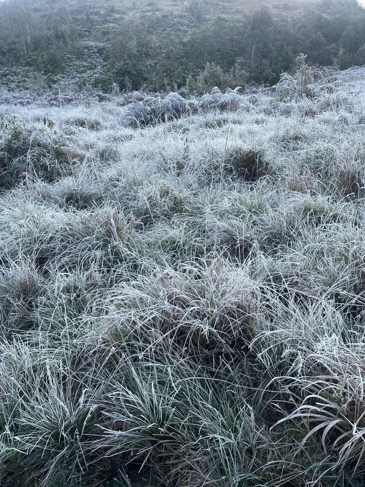 Khong khi lanh tang cuong tien sat Bac Bo hinh anh