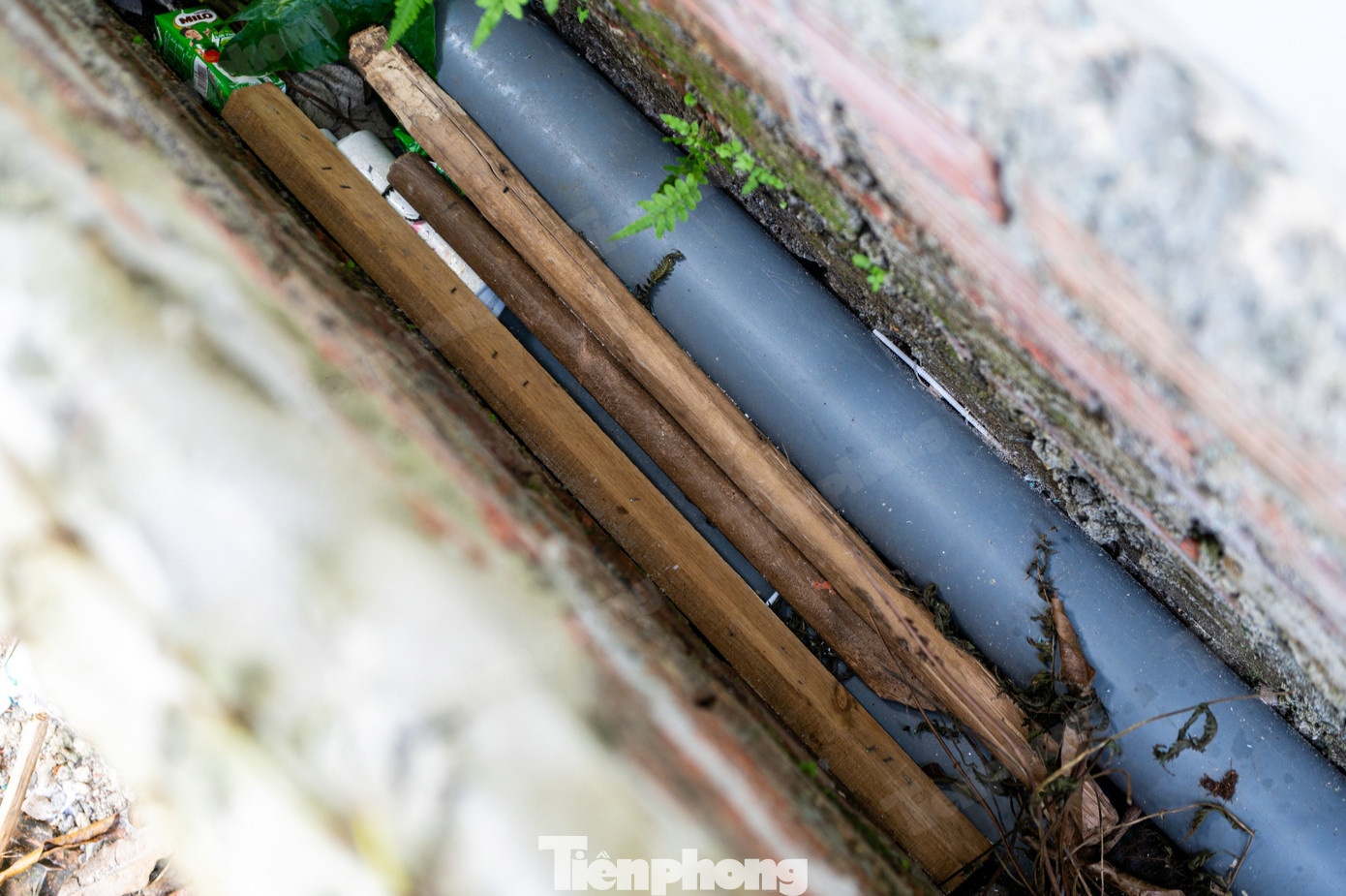 Trung tam Hai Ha anh 14