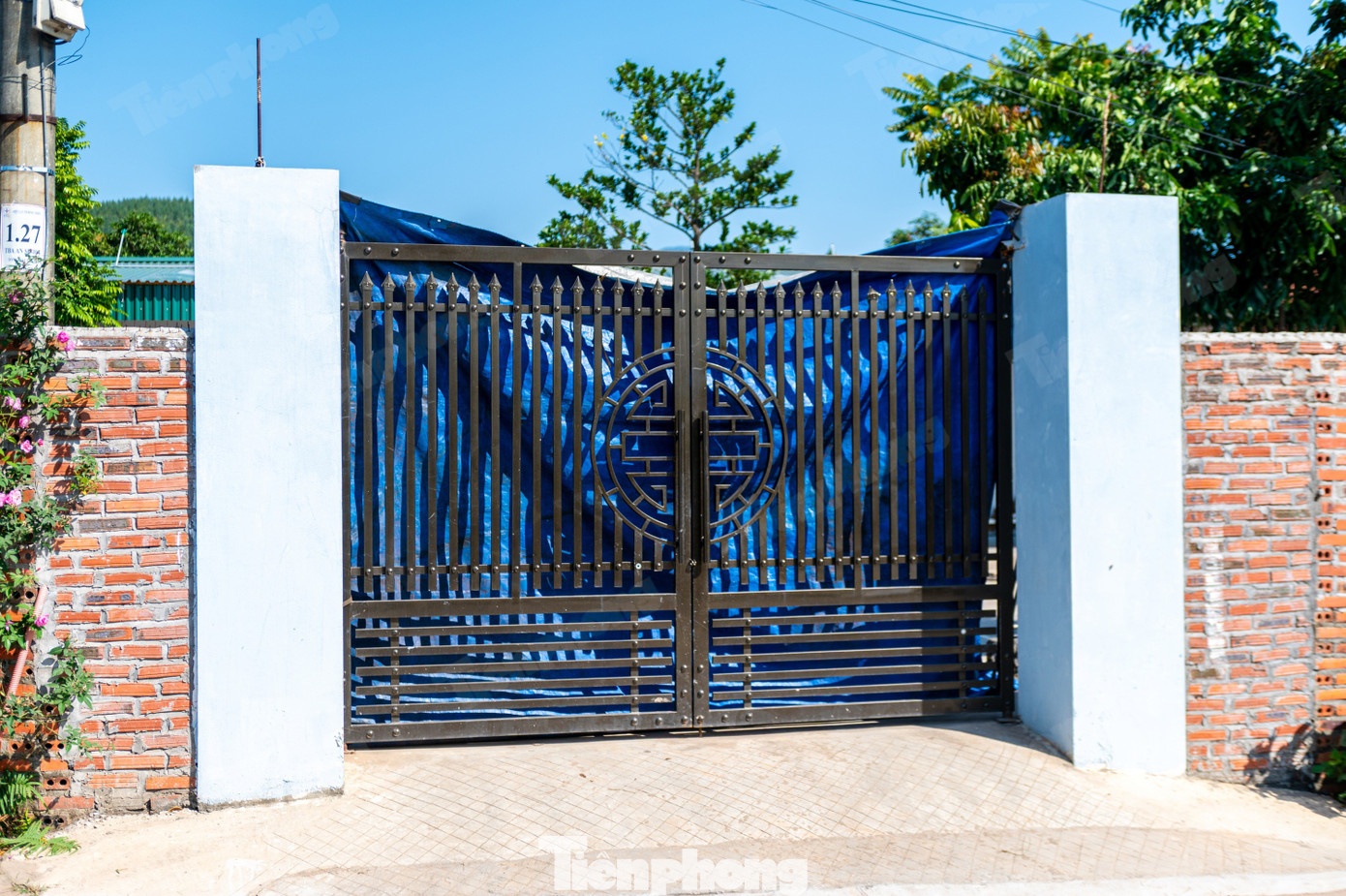 Trung tam Hai Ha anh 2