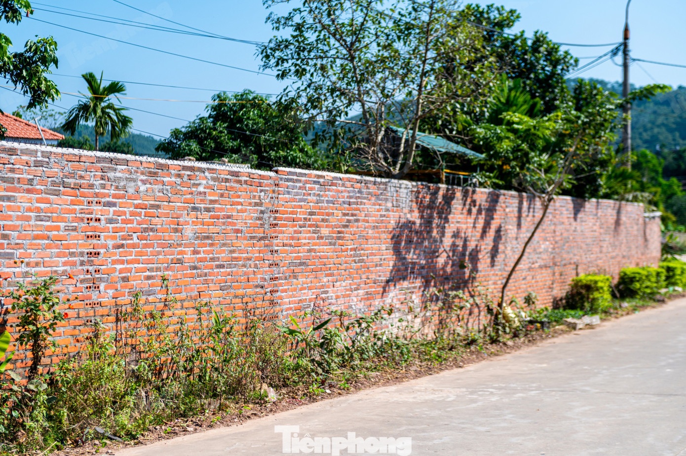 Trung tam Hai Ha anh 3