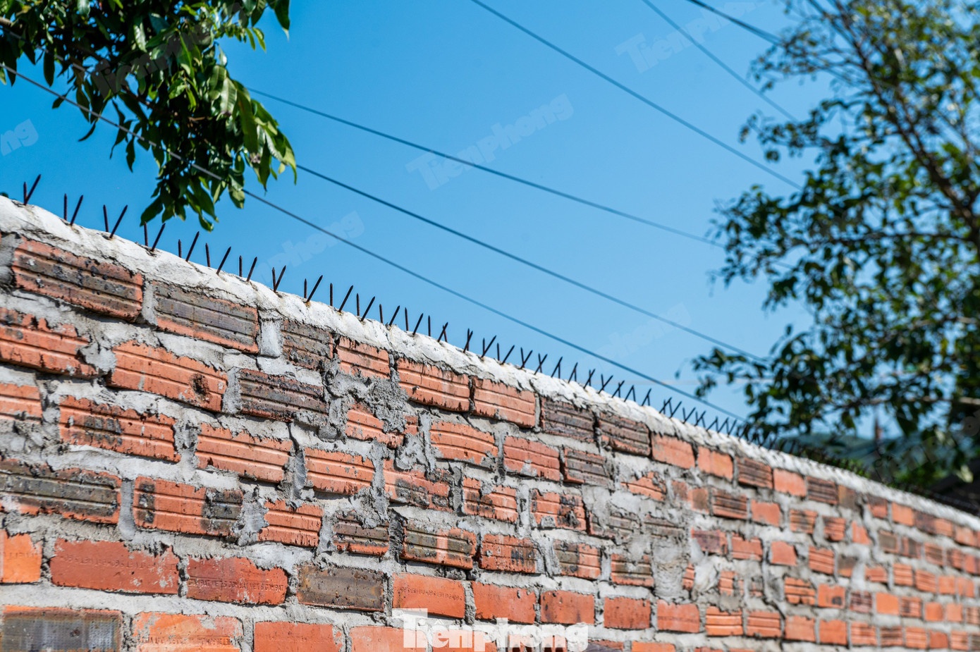 Trung tam Hai Ha anh 4