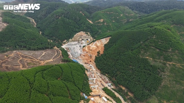 Thong toan bo ham chui deo Phuong Hoang hinh anh