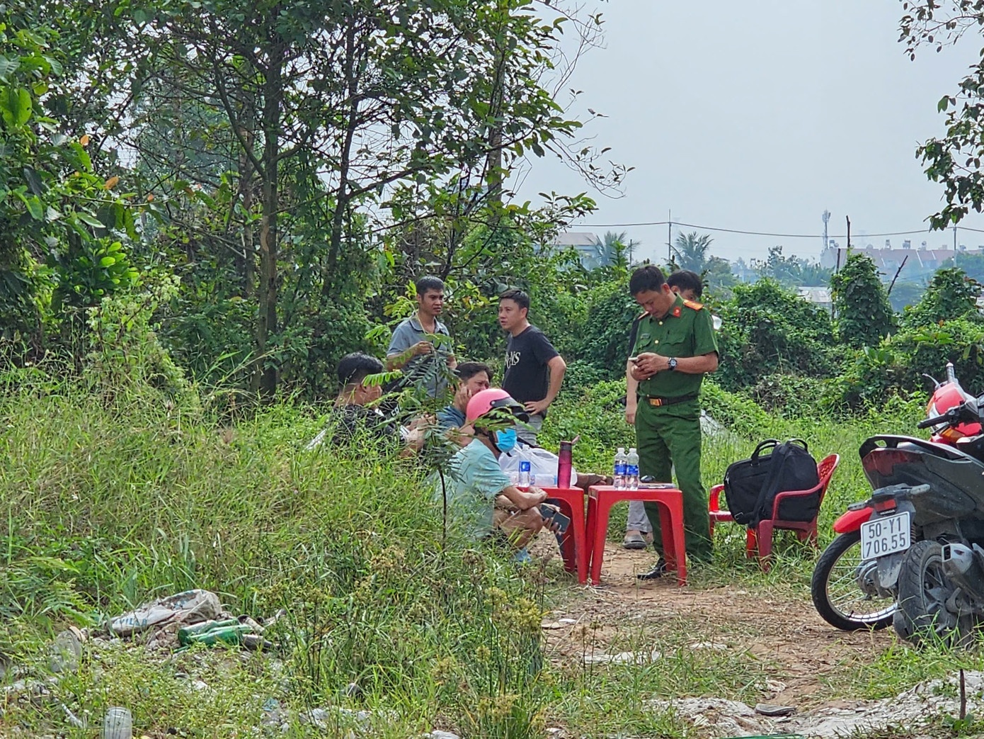 Treo co tren cay TP.HCM anh 1