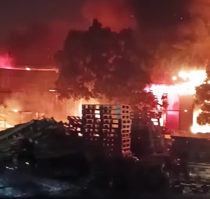 Chay xuong go Hung Yen anh 2