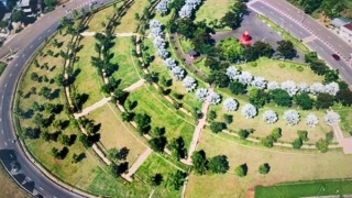 Vu Cong ty Cay Xanh Cong Minh: Cac doi tuong gay thiet hai hon 395 ty hinh anh