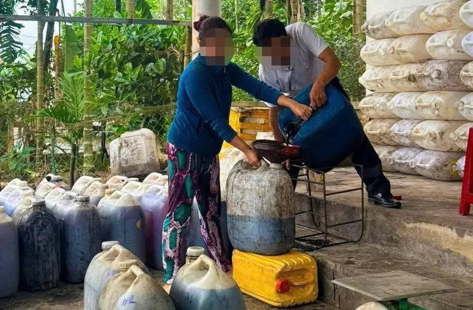 Thu gom hon 1,9 tan dau an, mo heo da qua su dung de ban kiem loi hinh anh