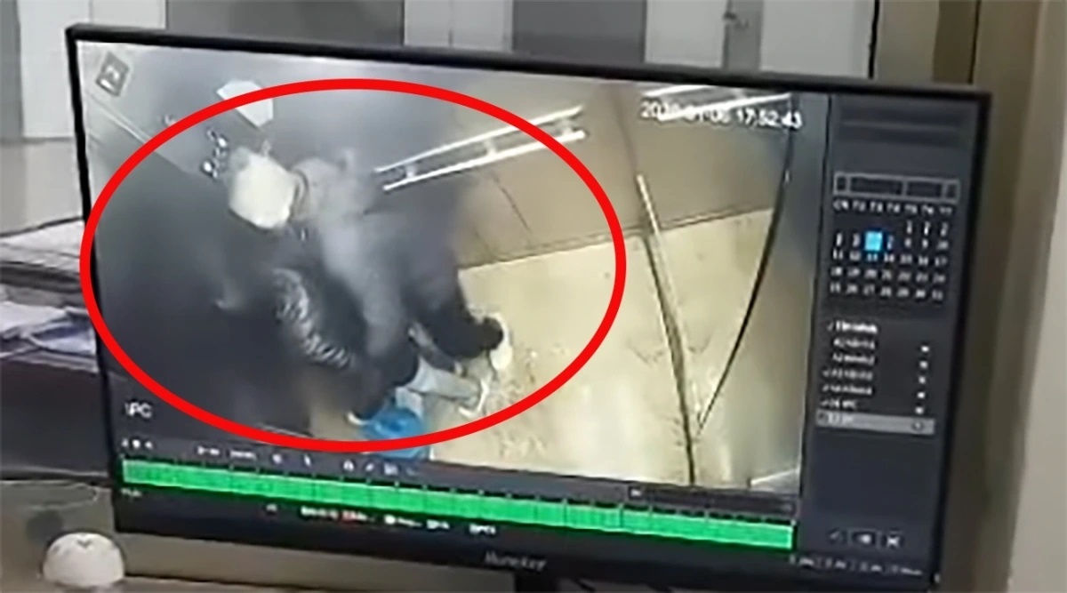 Hanh hung chung cu anh 2