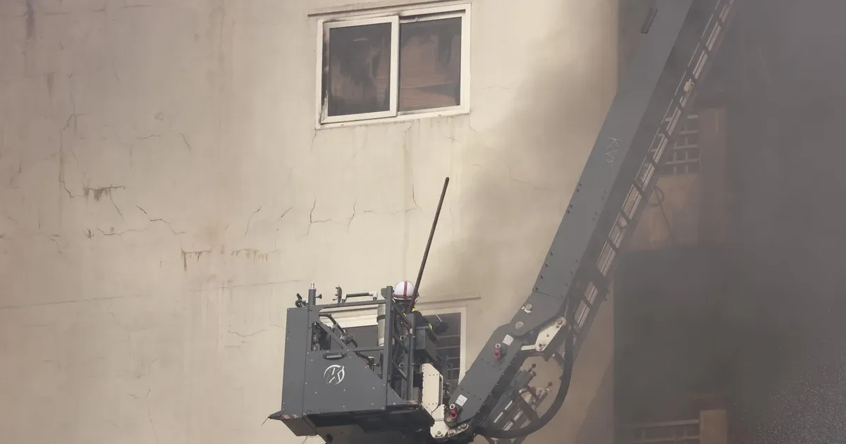 Chay nha Ha Dong anh 8