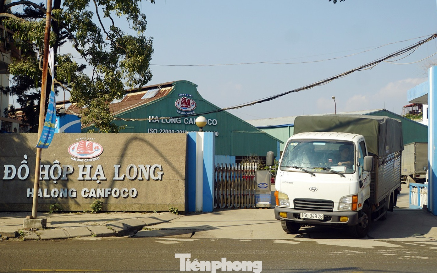 Do hop Ha Long,  Truong Sy Toan,  Dich benh,  Lon ta chau Phi anh 4