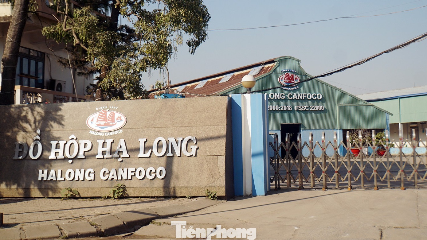 Do hop Ha Long,  HaLong CanFoco,  Chu HaLong CanFoco,  Cong ty HaLong CanFoco,  Doanh nghiep HaLong CanFoco,  Thit lon HaLong CanFoco,  Giam doc HaLong CanFoco anh 1