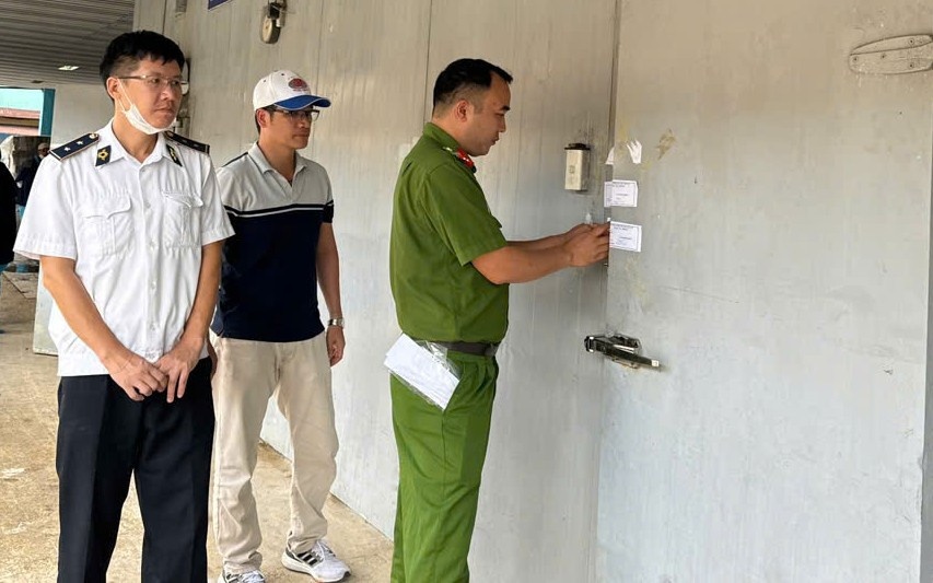 Do hop Ha Long,  Truong Sy Toan,  Dich benh,  Lon ta chau Phi anh 1