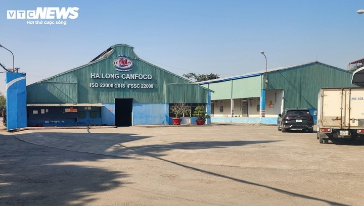 do hop Ha Long anh 1