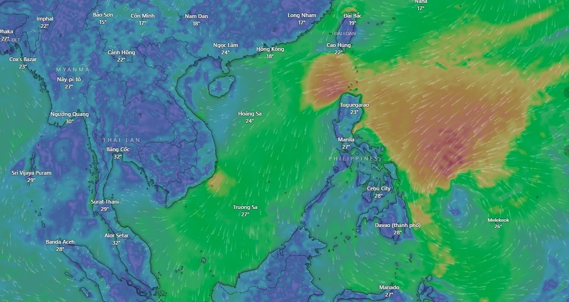 Ap thap nhiet doi anh 2