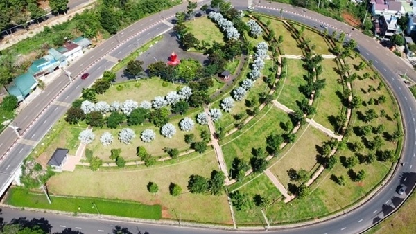 Cac doi tuong gay thiet hai cho Nha nuoc hon 395 ty trong vu cay xanh hinh anh