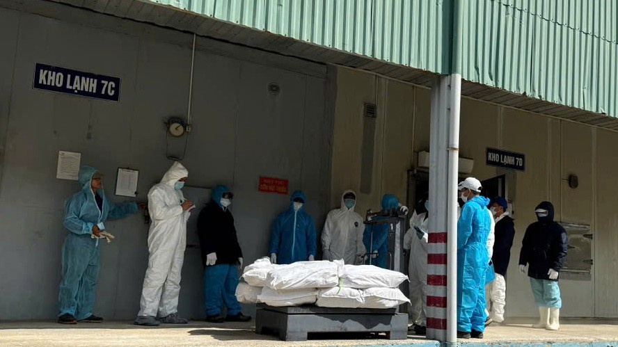 Do hop Ha Long,  Cong ty Ha Long,  Doanh nghiep Ha Long,  Truong Sy Toan anh 6