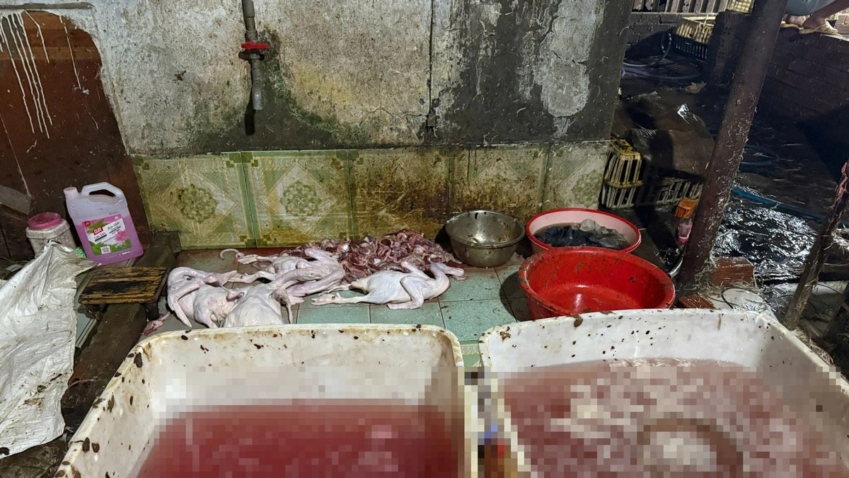 Lo mo ban TP.HCM anh 1