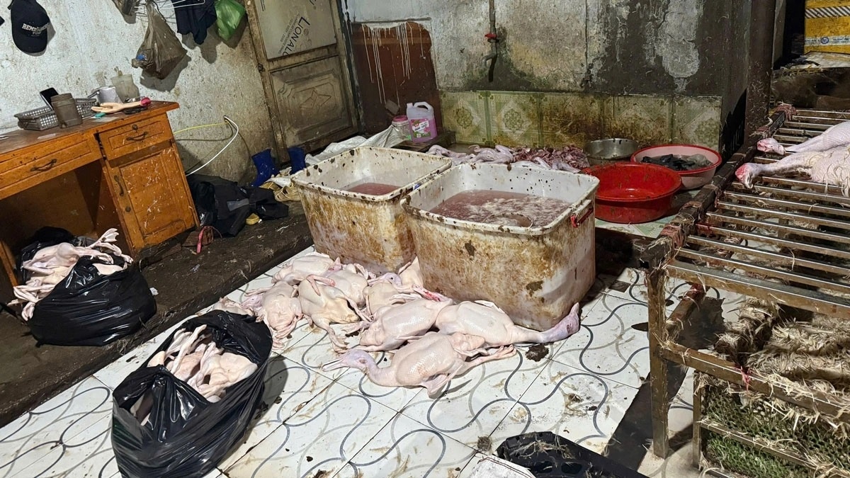 Lo mo ban TP.HCM anh 2