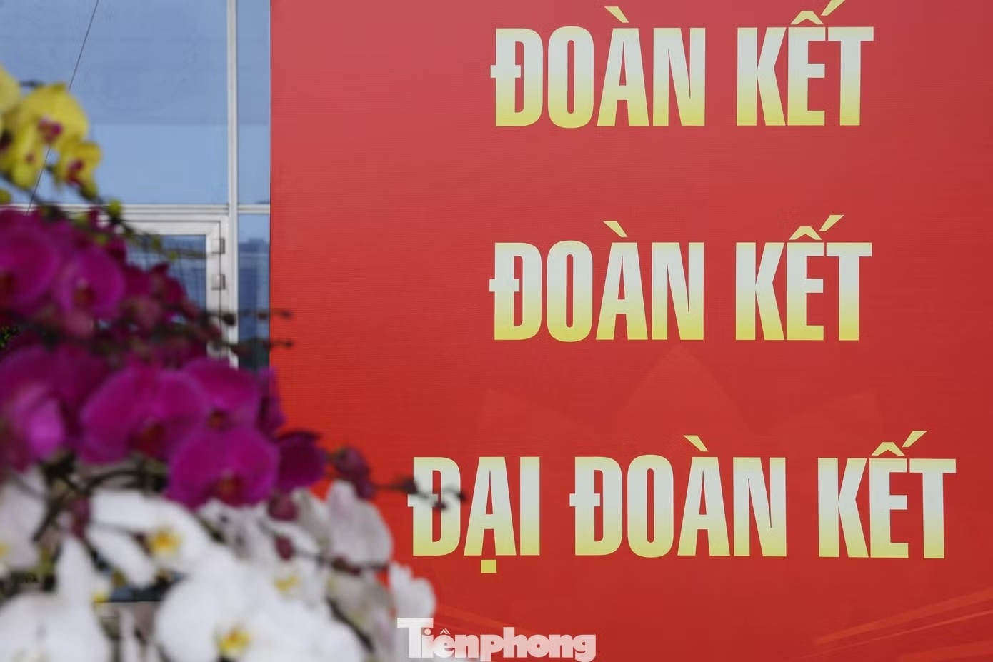 Mặt trận Tổ quốc ảnh 8 Mat tran To quoc anh 8