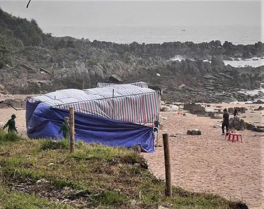 Hang tram nguoi tim kiem nam ky su mat tich khi di tam bien hinh anh