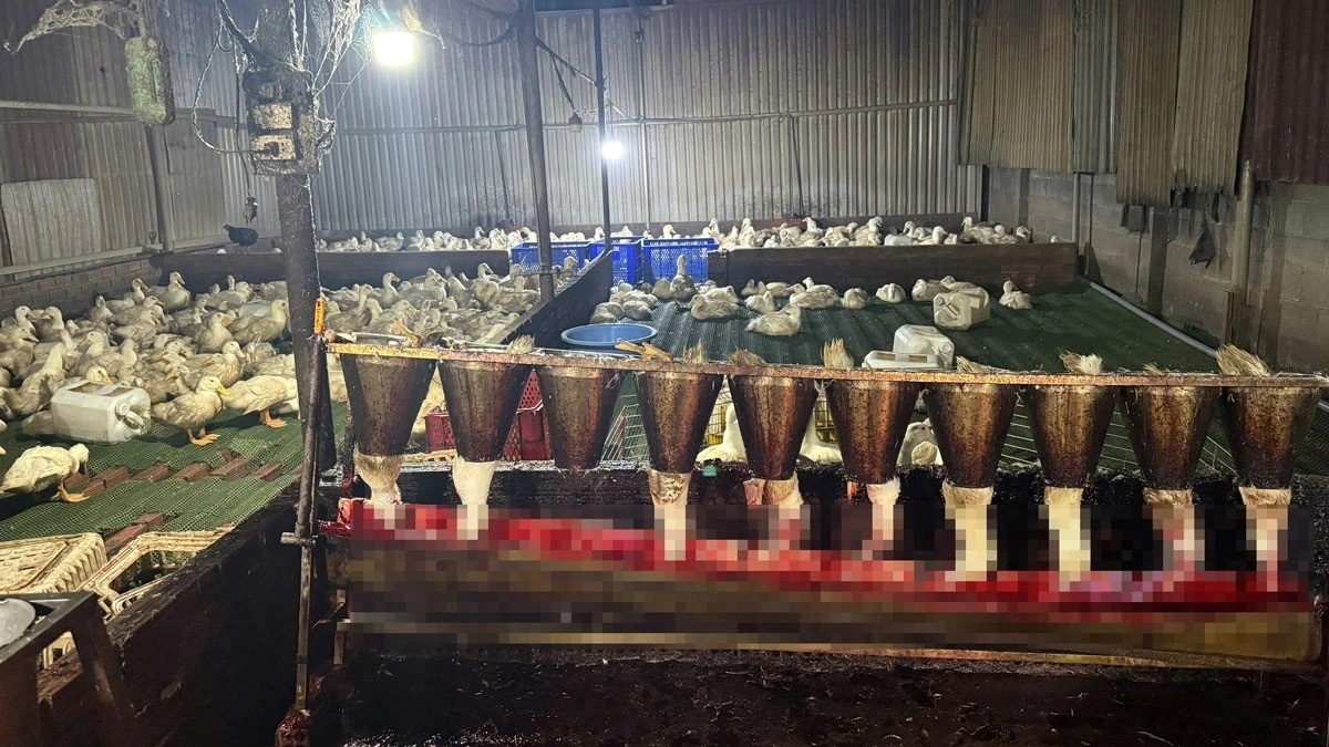 Lo mo ban TP.HCM anh 3