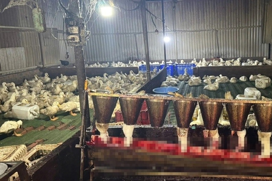 Can canh lo mo trai phep o TP.HCM hinh anh