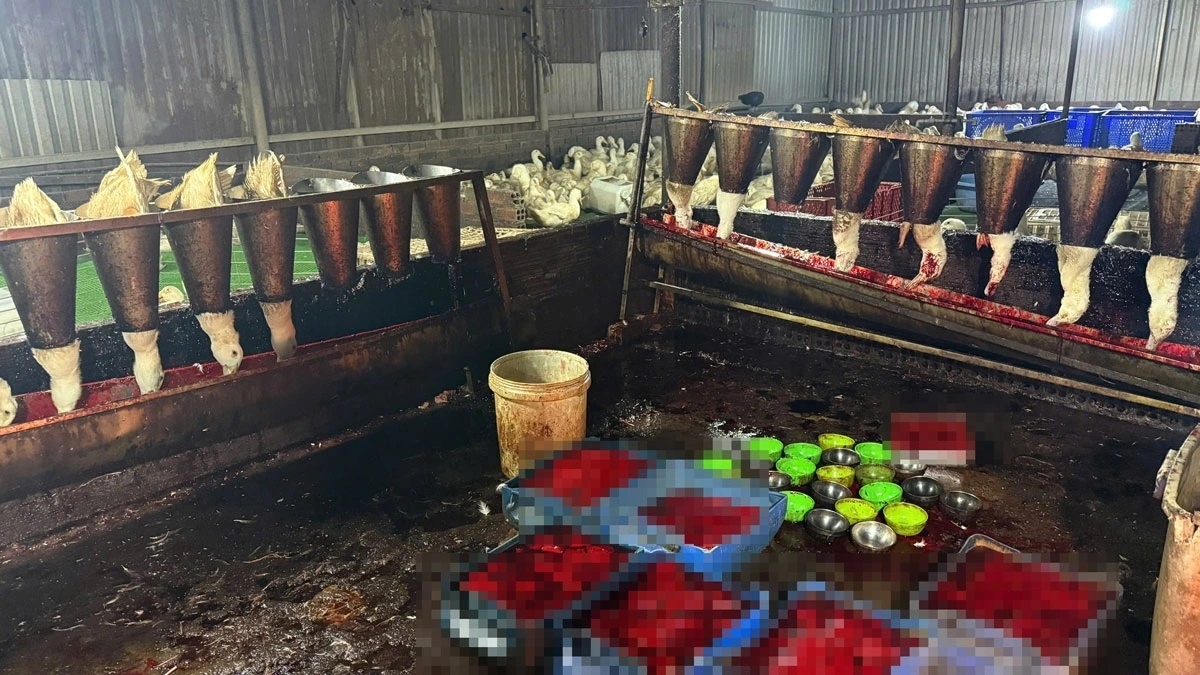 Lo mo ban TP.HCM anh 4