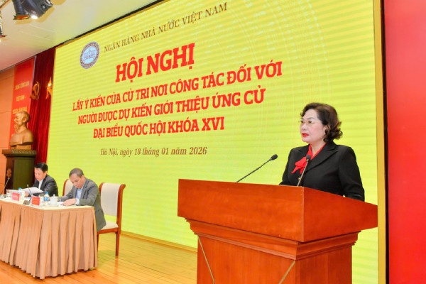 Gioi thieu Thong doc Nguyen Thi Hong ung cu dai bieu Quoc hoi khoa XVI hinh anh