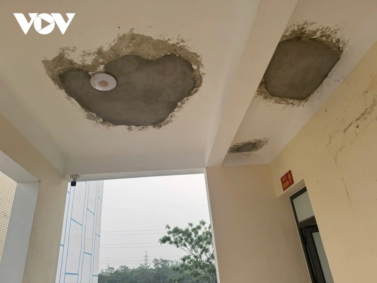 Truong Nguyen Quang Bich anh 2