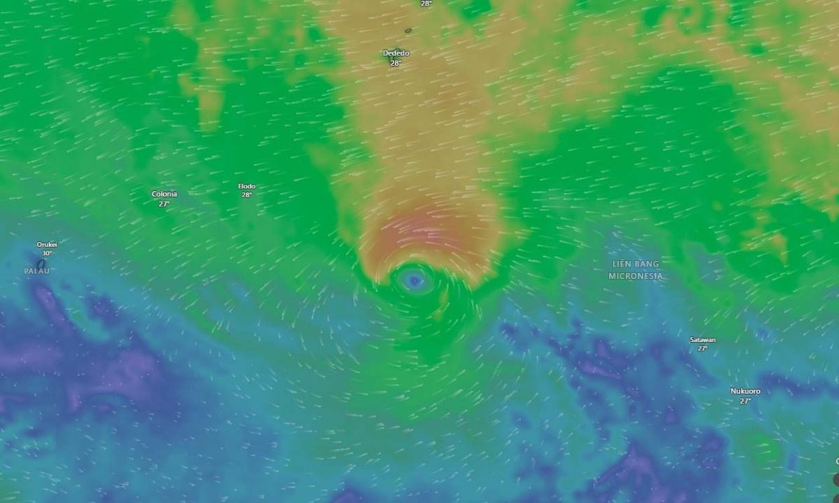 Bao Hagupit anh 1