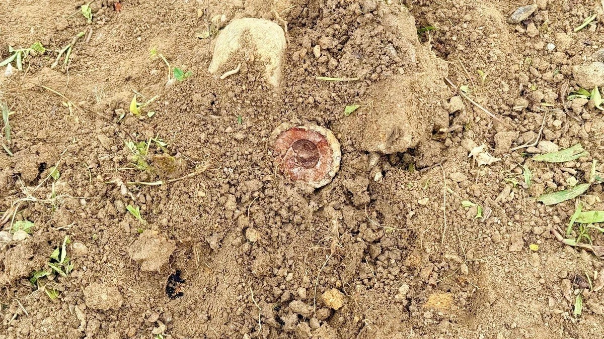 Bom chum cong truong Hue anh 2