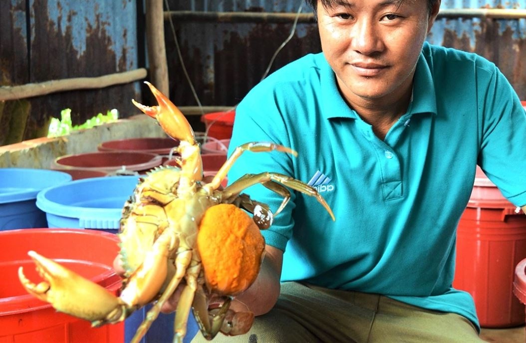 9 ty dong de bao ton gen cua bien Ca Mau hinh anh