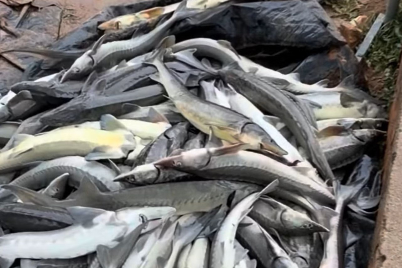 Chang trai khoc nghen khi hon 30 tan ca tam chet trang hinh anh